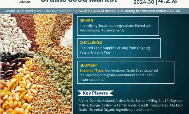 Grain Seed​ Market