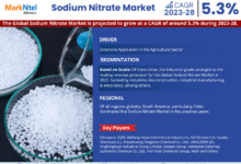 Sodium Nitrate Market